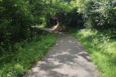 2024-05-22-Taglio-erba-sede-parco-dei-colli-e-pista-Valmarina-8