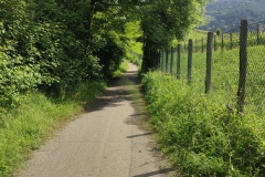 2024-05-22-Taglio-erba-sede-parco-dei-colli-e-pista-Valmarina-9