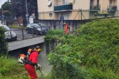 2024-07-03-Taglio-erba-Gardellone-1