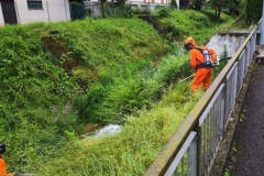 2024-07-03-Taglio-erba-Gardellone-3