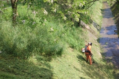 2024-05-11-Taglio-erba-sul-Gardellone-10