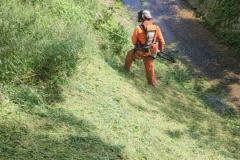 2024-05-11-Taglio-erba-sul-Gardellone-11