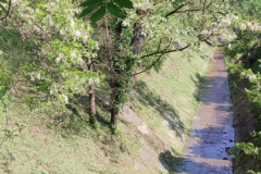 2024-05-11-Taglio-erba-sul-Gardellone-18