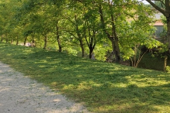 2024-05-11-Taglio-erba-sul-Gardellone-5