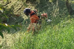2024-05-11-Taglio-erba-sul-Gardellone-6