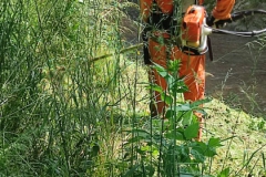 2024-05-11-Taglio-erba-sul-Gardellone-9