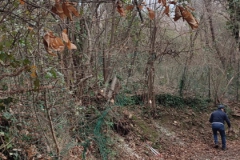 2024-01-10-Taglio-pianta-sentiero-407-2