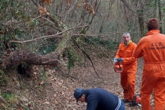 2024-01-10-Taglio-pianta-sentiero-407-3