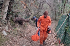 2024-01-10-Taglio-pianta-sentiero-407-4