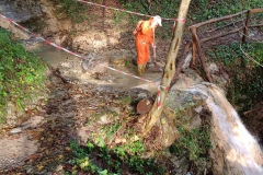 2024-10-09-Taglio-piante-sentiero-407-11