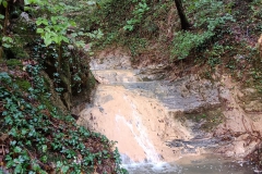 2024-10-09-Taglio-piante-sentiero-407-12