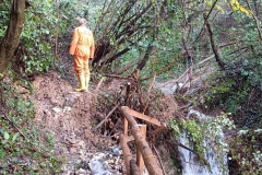 2024-10-09-Taglio-piante-sentiero-407-14