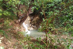 2024-10-09-Taglio-piante-sentiero-407-19