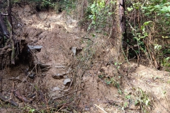 2024-10-09-Taglio-piante-sentiero-407-20