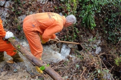 2024-10-09-Taglio-piante-sentiero-407-21