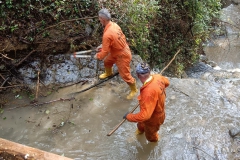 2024-10-09-Taglio-piante-sentiero-407-22