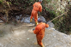 2024-10-09-Taglio-piante-sentiero-407-23