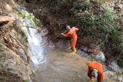 2024-10-09-Taglio-piante-sentiero-407-26