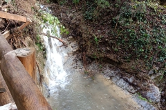 2024-10-09-Taglio-piante-sentiero-407-28