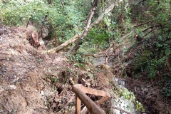 2024-10-09-Taglio-piante-sentiero-407-30