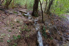 2024-10-09-Taglio-piante-sentiero-407-5