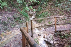 2024-10-09-Taglio-piante-sentiero-407-9