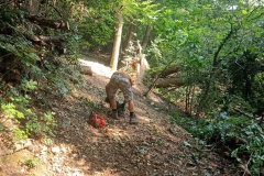 2024-07-17-Taglio-piante-sentiero-1
