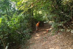 2024-07-17-Taglio-piante-sentiero-3