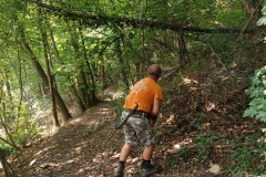 2024-07-17-Taglio-piante-sentiero-4