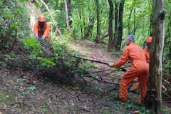 2024 - Taglio piante Valmarina e Sentiero dei Cacciatori (08.05.2024)