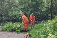 2024-05-08-Taglio-piante-Valmarina-e-Sentiero-dei-cacciatori-10