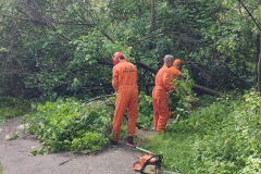 2024-05-08-Taglio-piante-Valmarina-e-Sentiero-dei-cacciatori-11