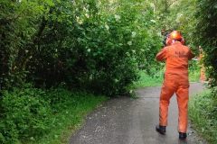 2024-05-08-Taglio-piante-Valmarina-e-Sentiero-dei-cacciatori-13