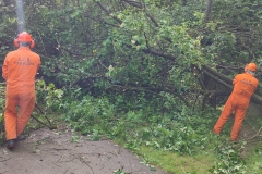 2024-05-08-Taglio-piante-Valmarina-e-Sentiero-dei-cacciatori-16
