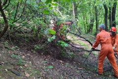 2024-05-08-Taglio-piante-Valmarina-e-Sentiero-dei-cacciatori-3