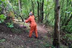 2024-05-08-Taglio-piante-Valmarina-e-Sentiero-dei-cacciatori-4