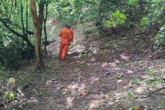 2024-05-08-Taglio-piante-Valmarina-e-Sentiero-dei-cacciatori-6