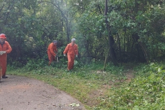 2024-05-08-Taglio-piante-Valmarina-e-Sentiero-dei-cacciatori-7