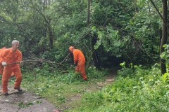2024-05-08-Taglio-piante-Valmarina-e-Sentiero-dei-cacciatori-8